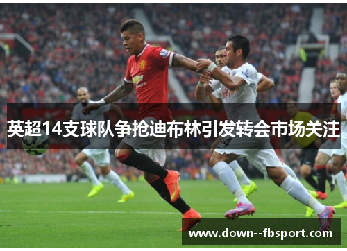 英超14支球队争抢迪布林引发转会市场关注 英超14支球队争抢迪布林引发转会市场关注