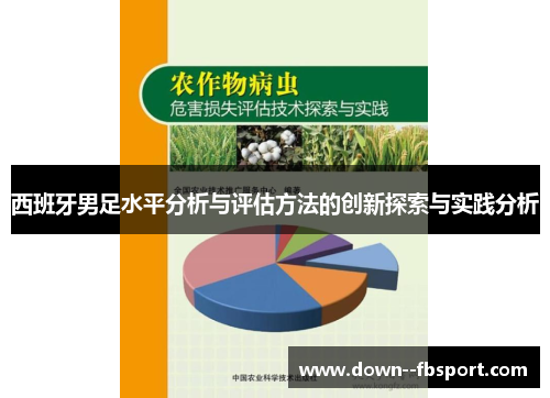 西班牙男足水平分析与评估方法的创新探索与实践分析 西班牙男足水平分析与评估方法的创新探索与实践分析