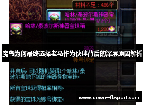 魔鸟为何最终选择老马作为伙伴背后的深层原因解析 魔鸟为何最终选择老马作为伙伴背后的深层原因解析