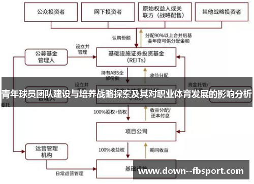 青年球员团队建设与培养战略探索及其对职业体育发展的影响分析