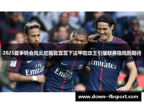 2025夏季转会风云尼斯官宣签下法甲助攻王引爆联赛格局新期待