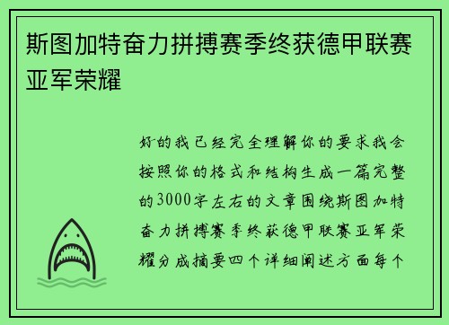 斯图加特奋力拼搏赛季终获德甲联赛亚军荣耀